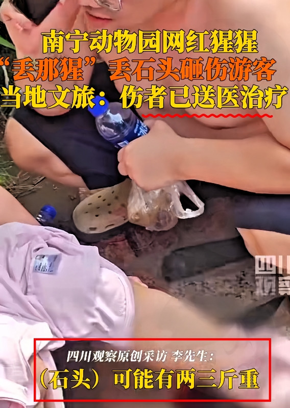 南宁动物园停车费惊呆游客！五一去南宁动物园，那场面人挤人，可最让人震惊的，