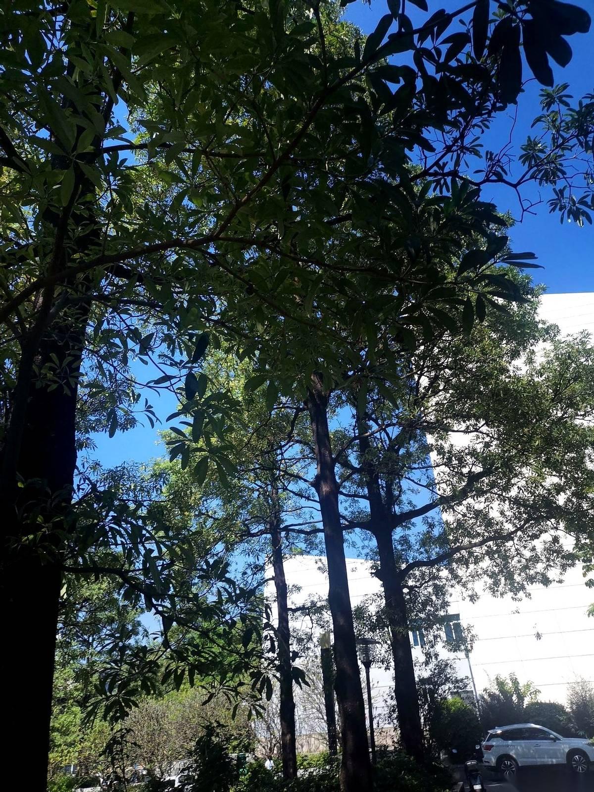 东莞凌晨的24小时图书馆，那个保安是真的狠。刚才有个宝妈带娃稍微吵了点，直接被