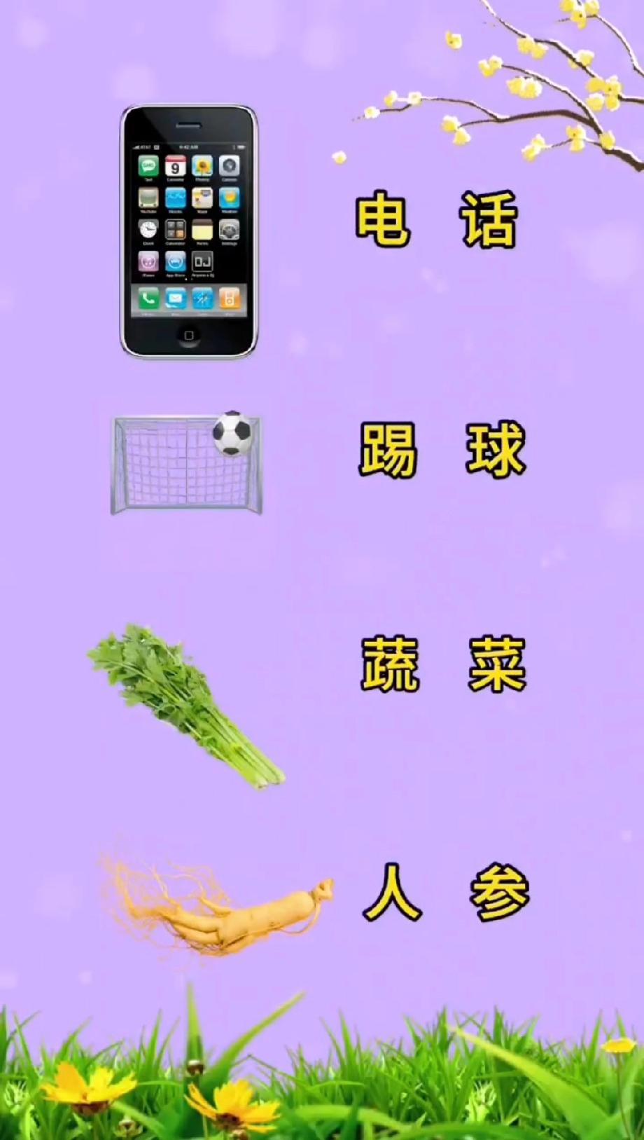 这题太魔性！电话、踢球、蔬菜、人参，你能10秒看出它们的共同点吗？