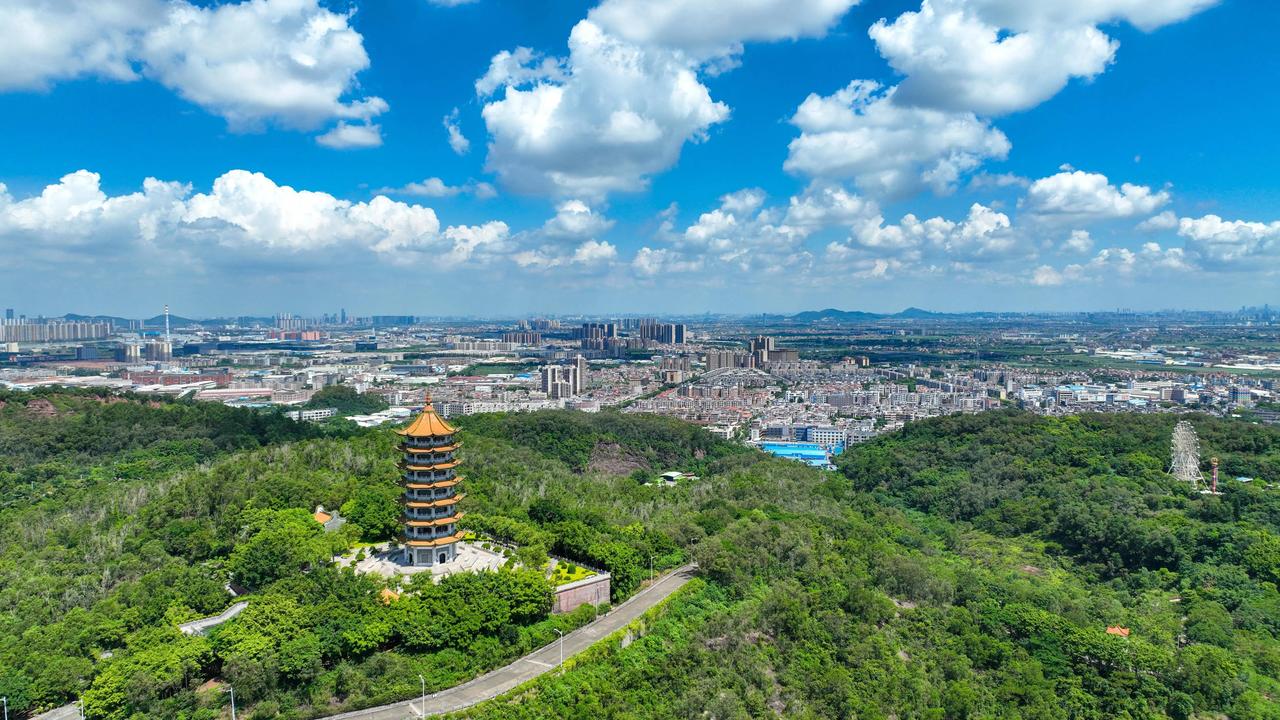 【南沙十个镇街2026年立flag：大岗镇力争规上工业产值全年双增超20%】南沙