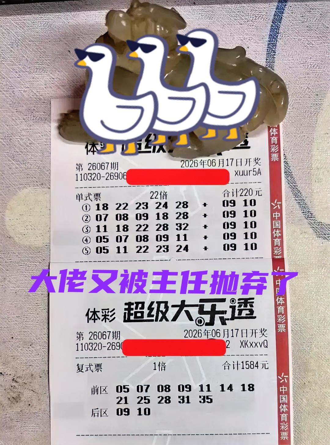 还能说什么，我猜大佬那一次中的二等奖，奖金已经快花完了吧[捂脸哭]接连数十期一毛不