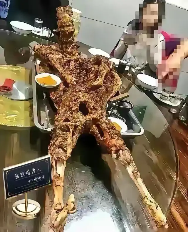 啥也别说了，多吃菜，这个不错