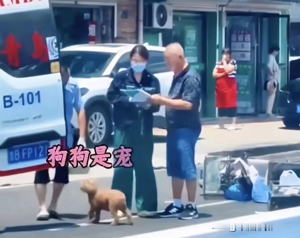 遛狗老人出了车祸，救护车来到把老人抬到了车上。一旁的狗狗焦急的围着车门转圈圈，几