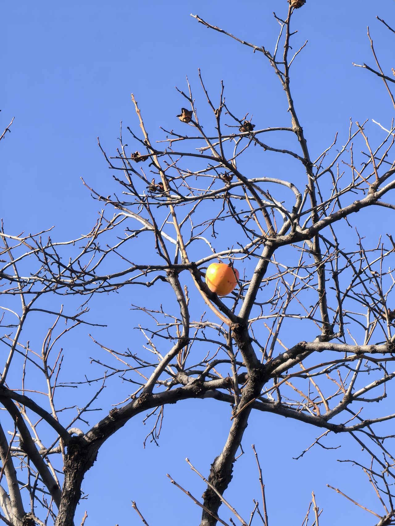 2026年考研，真的比往年容易上岸吗？1.今年招生多少？其中保研多少？