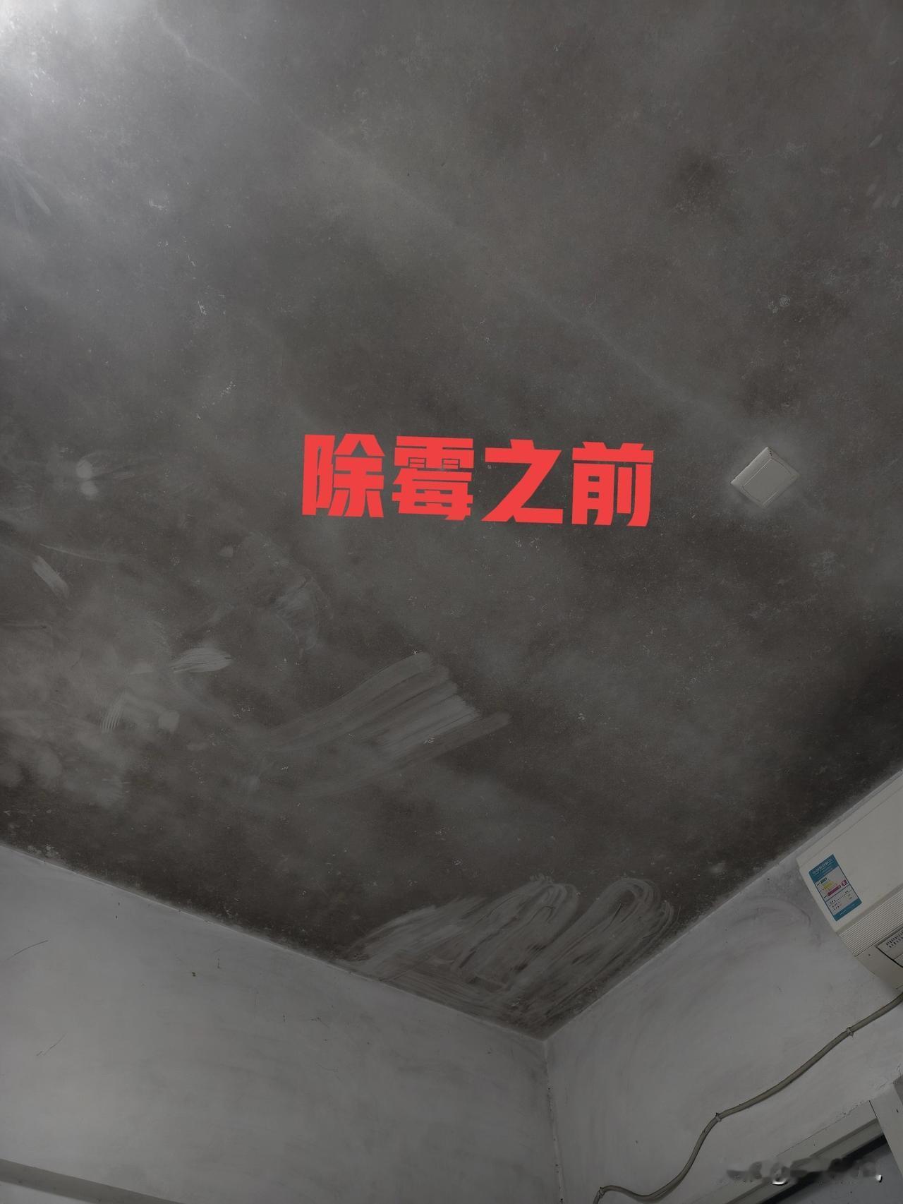 连续几个月下雨了，房顶已经全是霉菌，网上都说这种霉菌比甲醛危害性还大，所以，我和