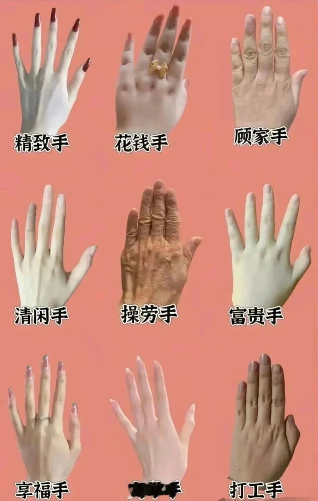 有没有发现，越好看的手命越好，而且手指细长？