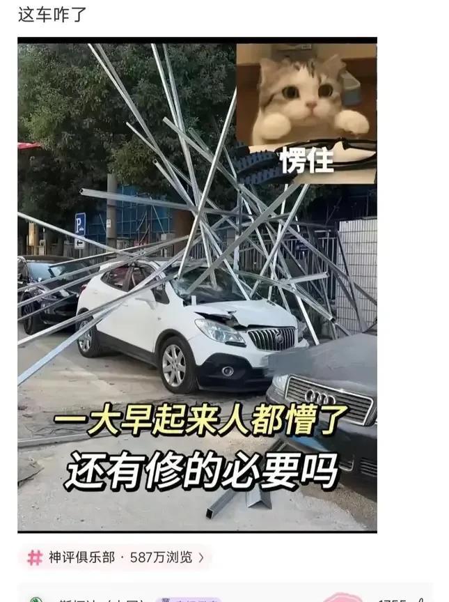 这是有多大的仇啊
