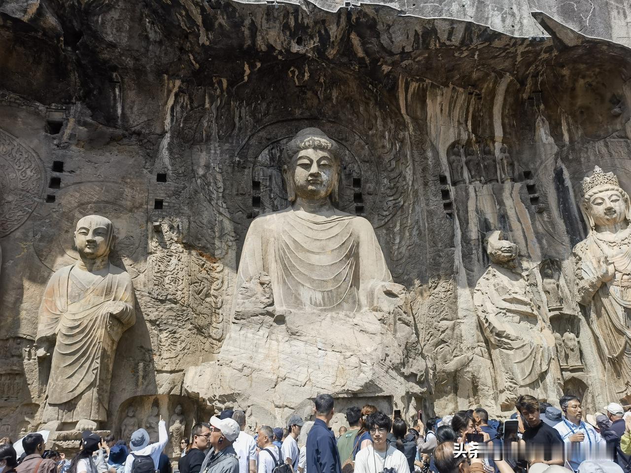 洛阳旅游给我的第一个惊喜。在洛阳退役军人乘坐公交车免费，你们知道吗？今天给大家分