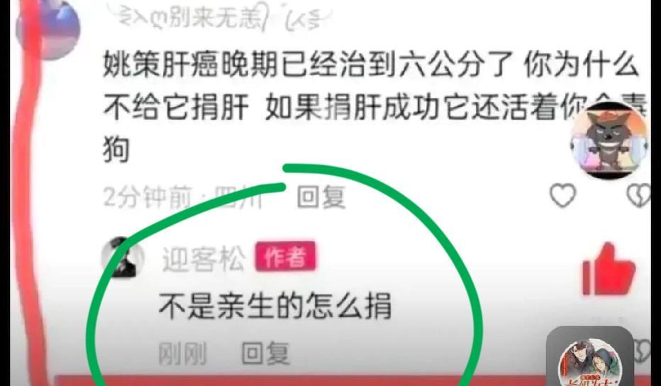 被许妈立了不服气，又胡说八道，居然说老肥子那个也是军娃。对门有一个叫千城的，早