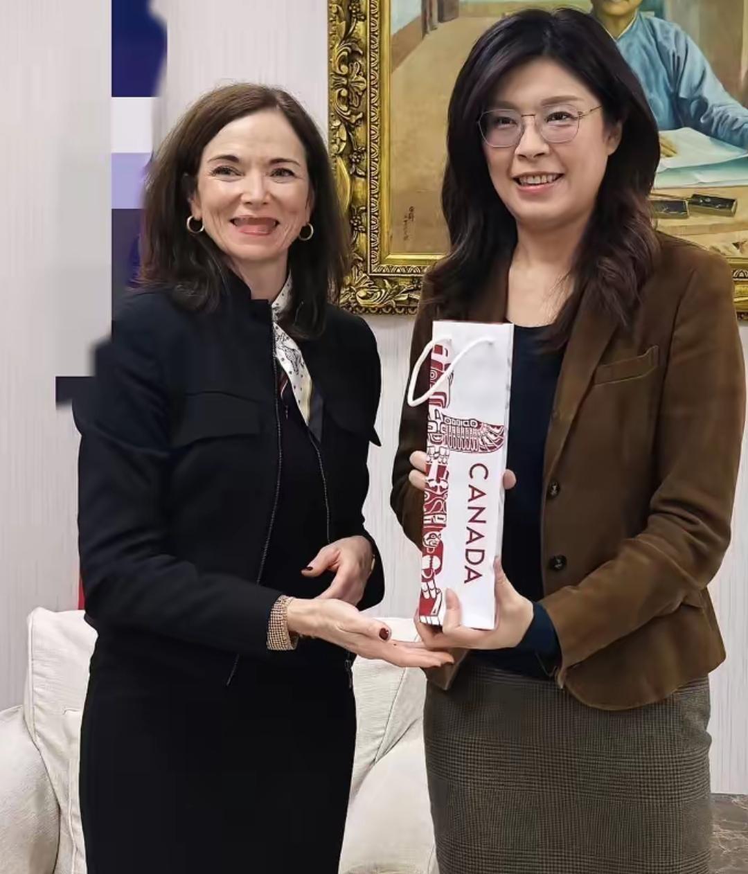 掷地有声！加拿大代表见了郑丽文！明确了自己对中国的态度！话说得挺直！