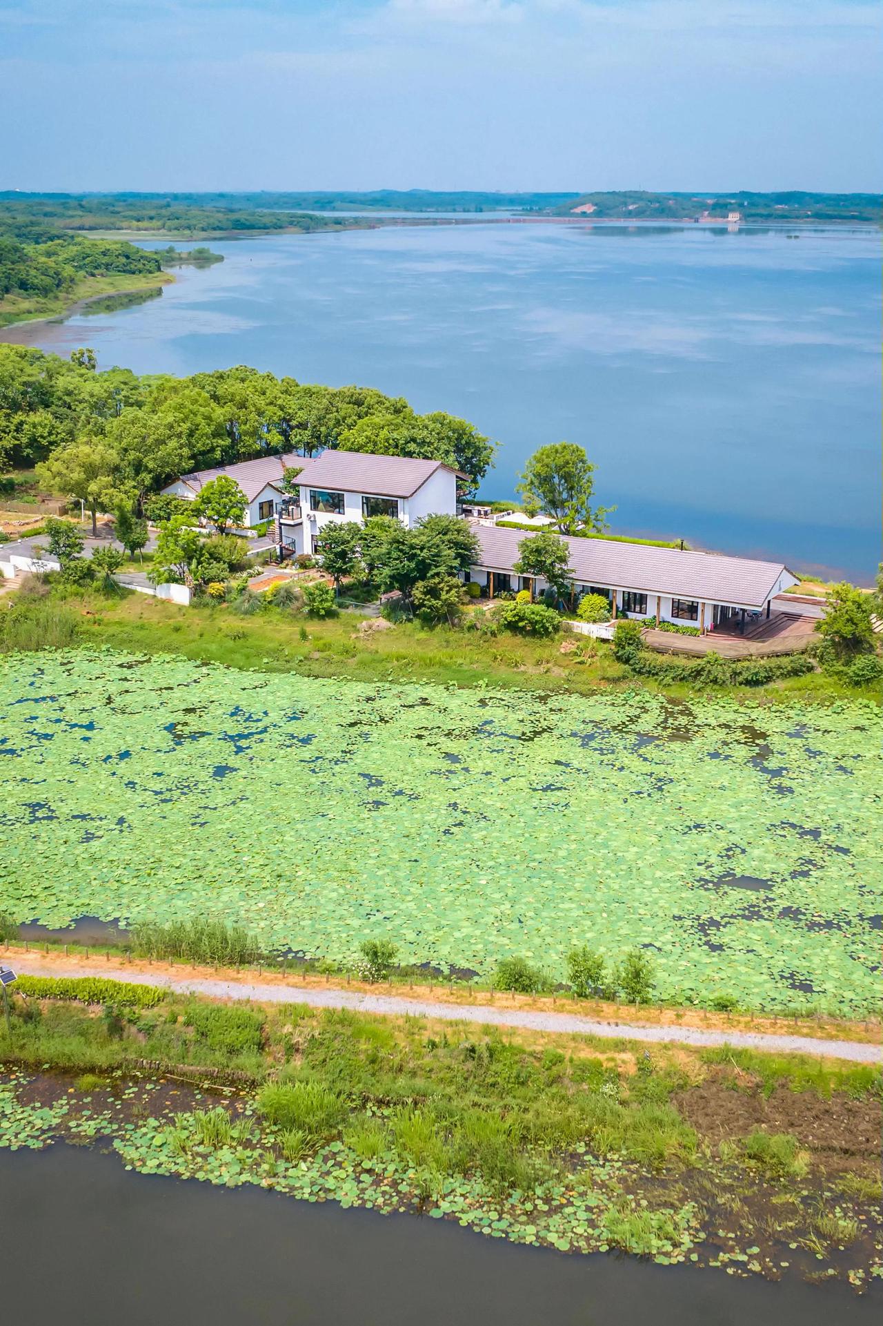 周末五一轻度假不用去远方，武汉江夏斧头湖畔三面临湖的有风小院碧水蓝天绿树，