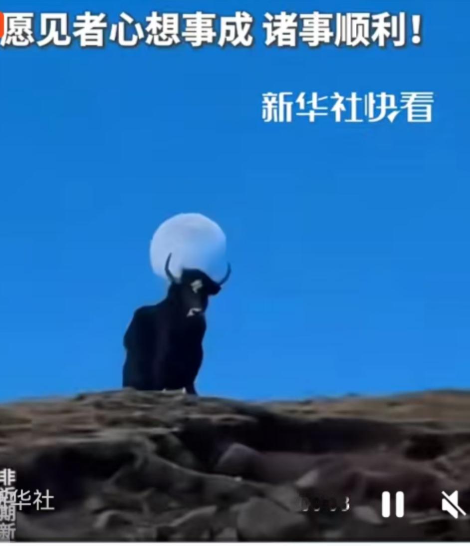 大自然有时候就像个调皮的摄影师，总在不经意间按下快门，给我们留下一张张无需滤镜的