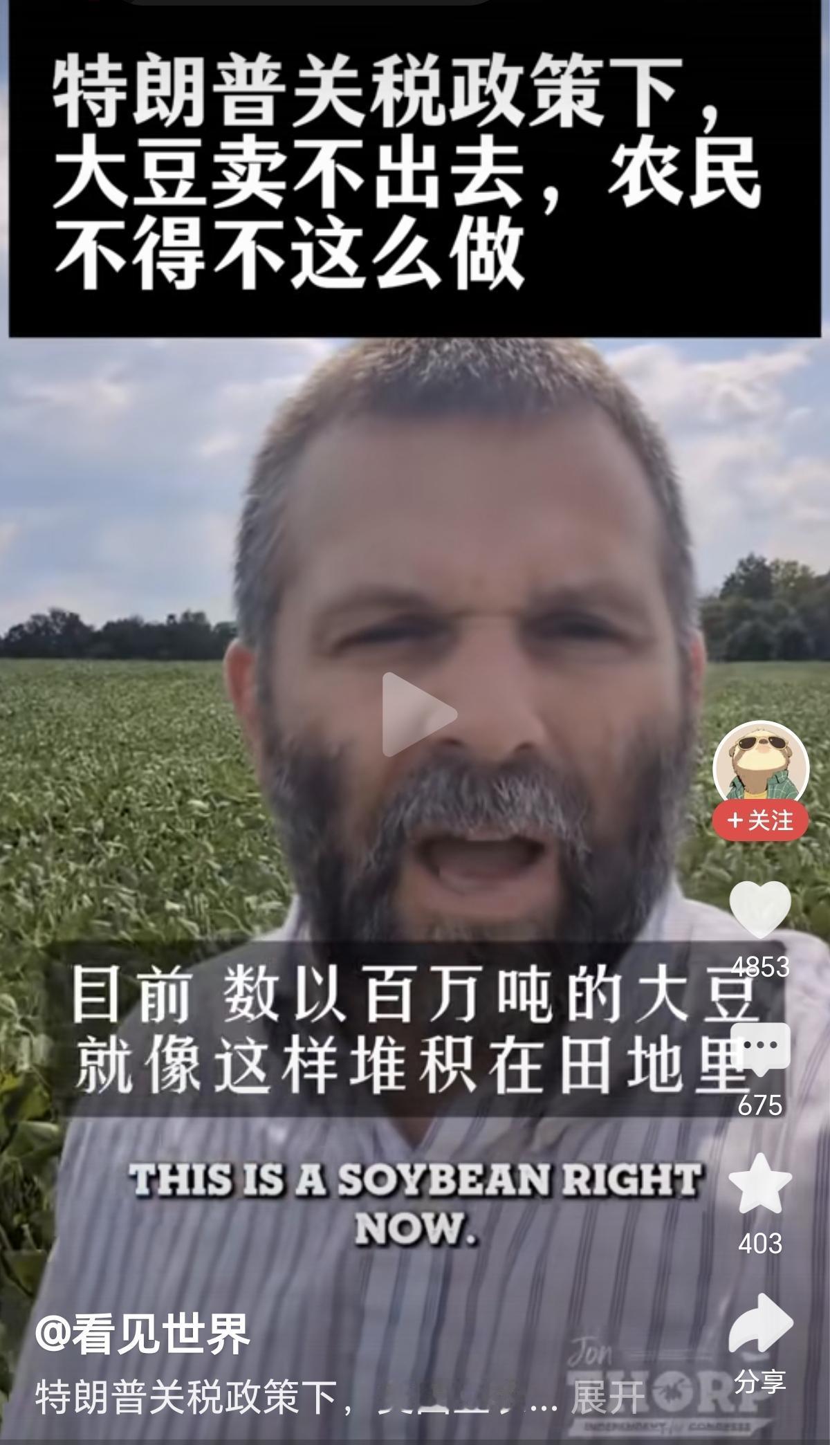 大漂亮：熊猫，大豆滞销怎么办？能不能帮我解决一点！熊猫：我来教你，从我这买点卤