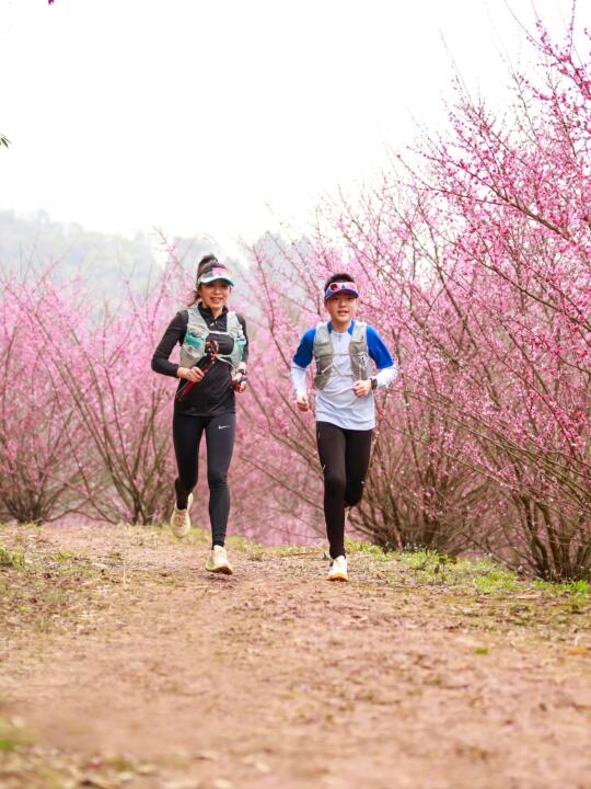 春来寻花 和孩子一起跑进成都周边超美山野