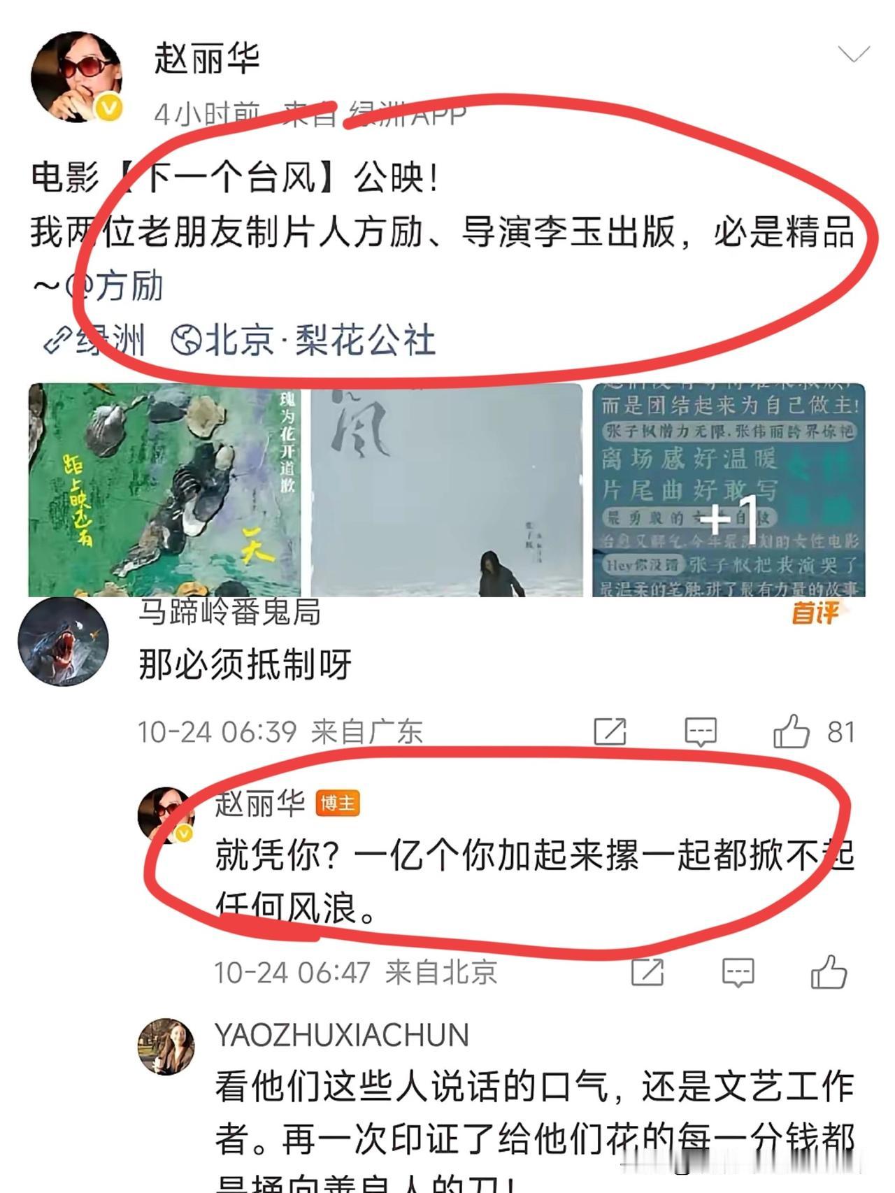 “一个亿的‘你’加起来掀不起风浪？”这话听着就带点火药味。赵丽华力挺方励电