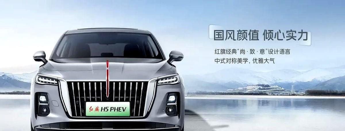 有专家表示未来5年能存活下来的几款电车，排名如下。第一款，特斯拉——100%到