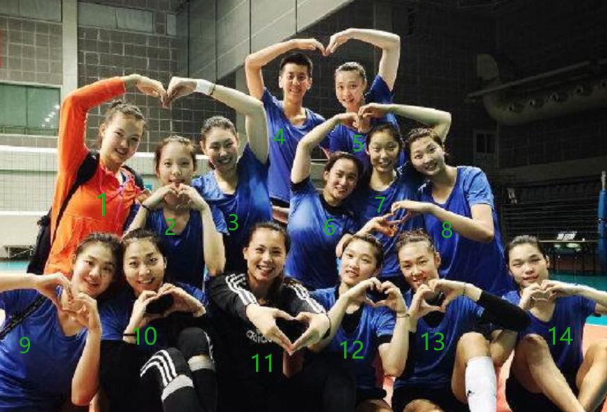 真是好久没关注女排了。有些队员都不认识了。这张图片里面的队员，有些退役较久，有