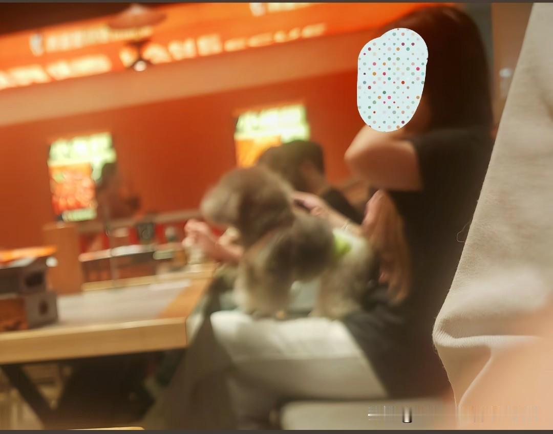 狗进店，这次又轮到上海一家弄堂里烧烤店了。从曝光的图片来看，又是这种小型犬，不是