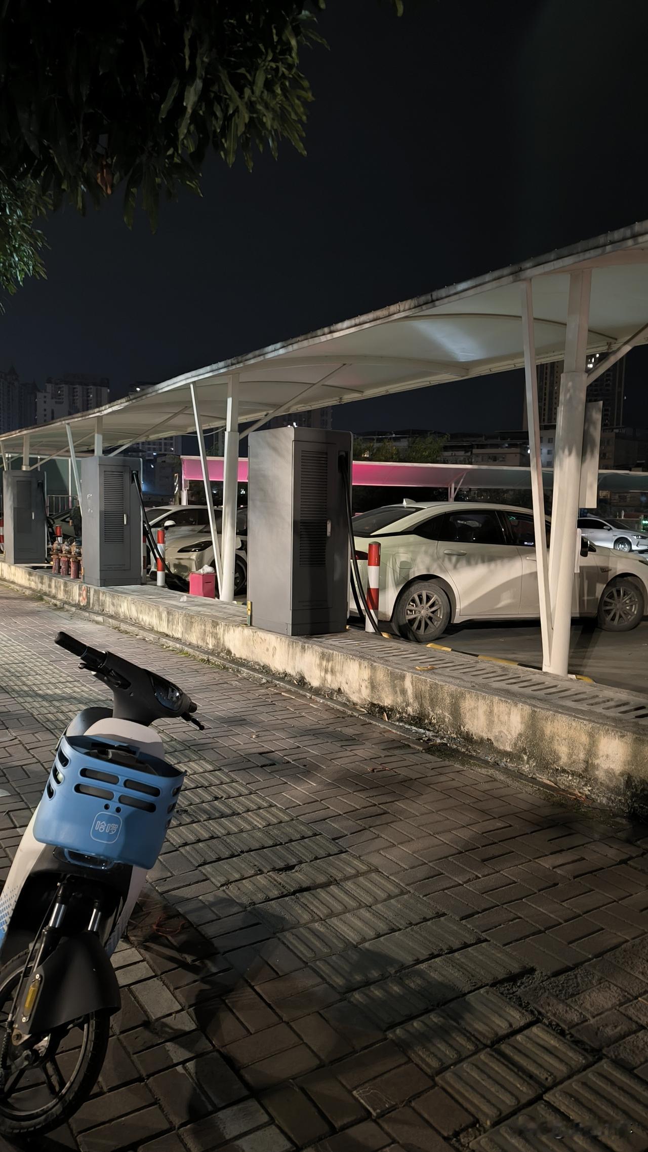 我发现，早睡早起对身体真的好。昨天晚上10点之前就睡觉了，一觉睡醒，早上