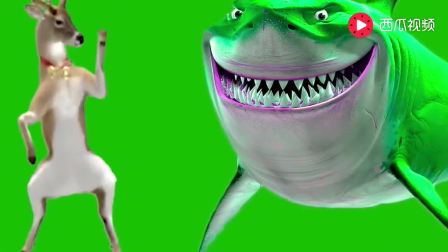 5207088383366624797.jpg?id=0