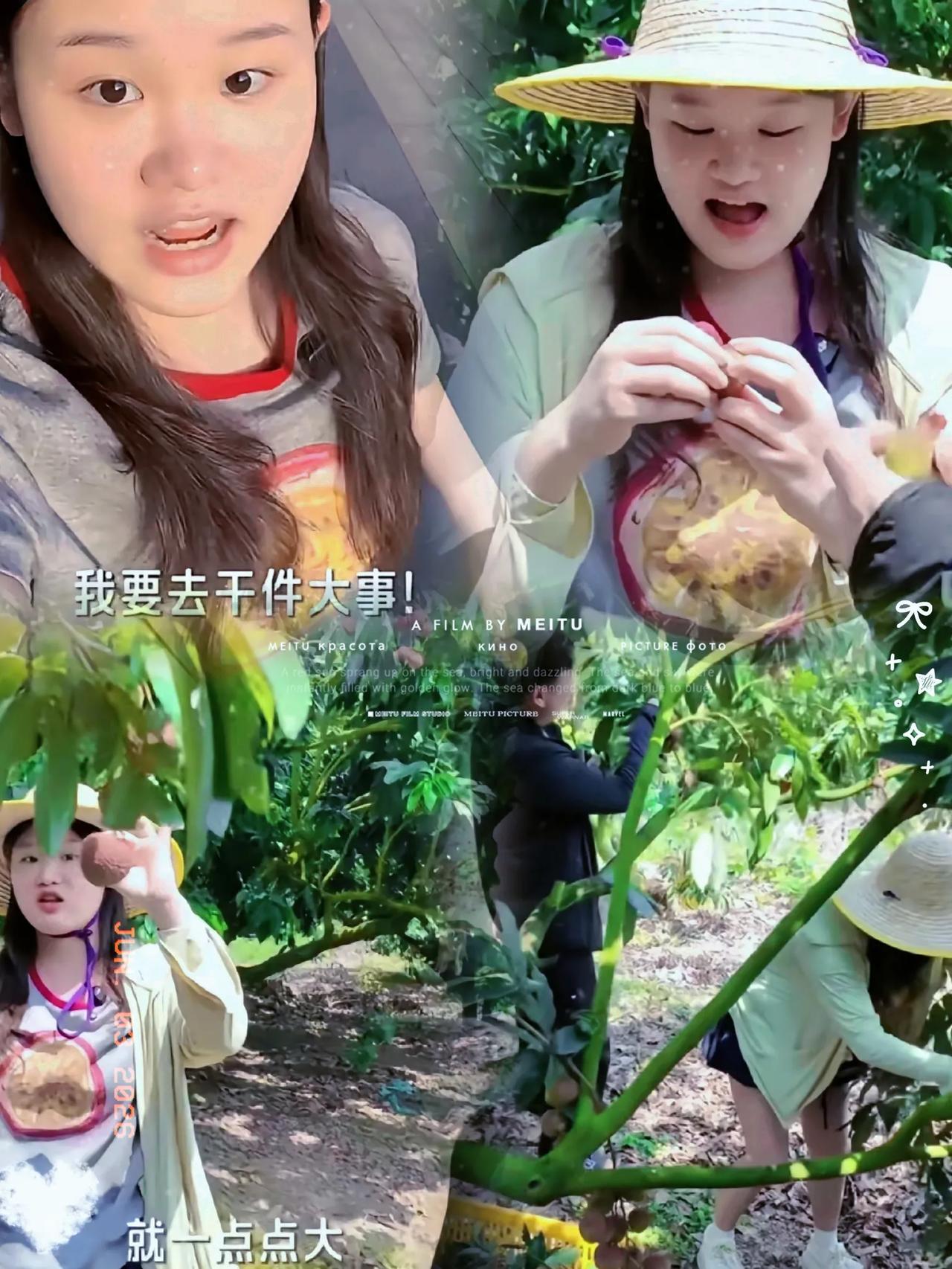 张家齐这是要在带货界闯出一片天呐！从直播间到广东全红婵家乡的荔枝园，这跨度可