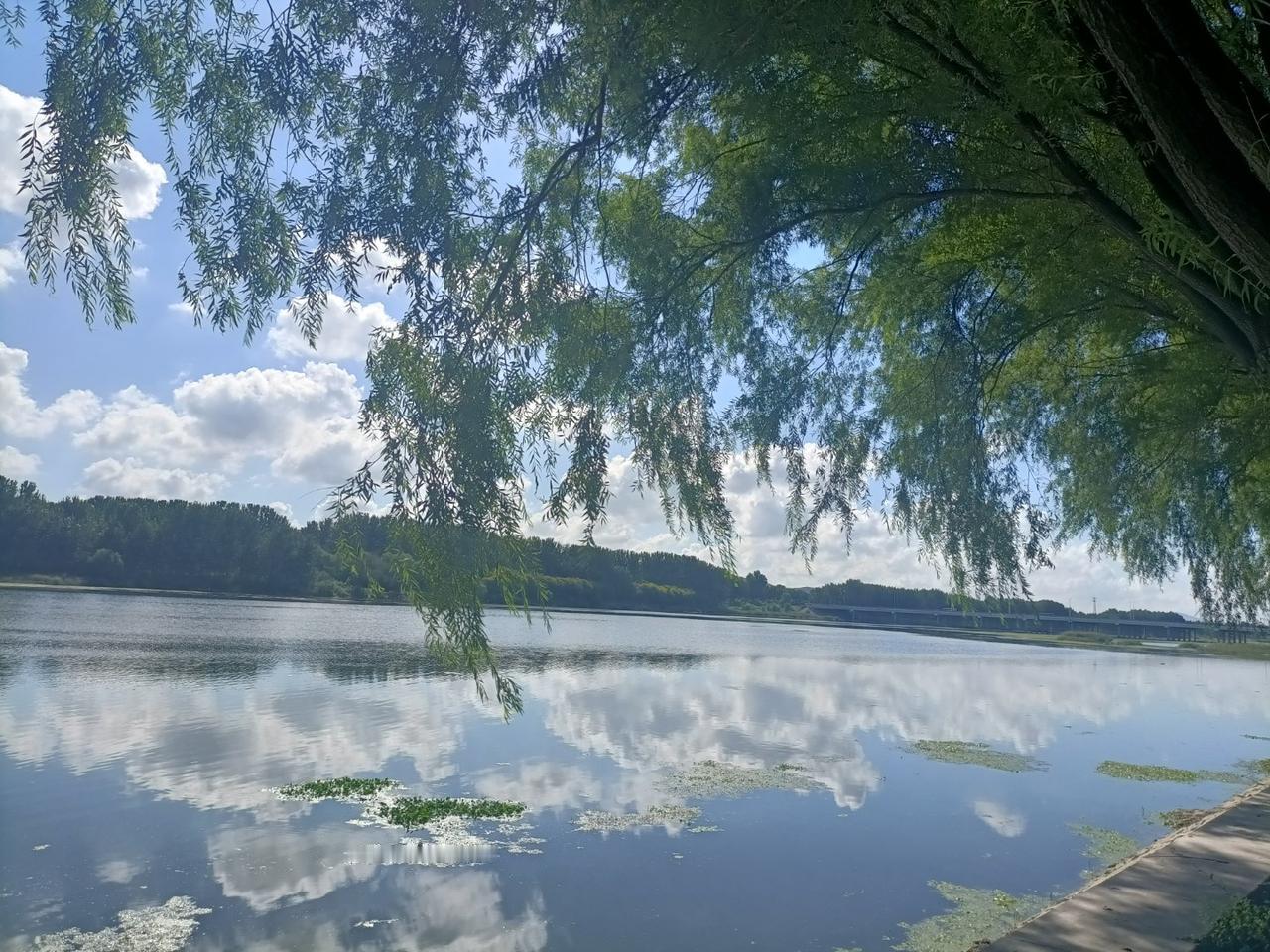 臭豆腐的发明者--王致和王致和是安徽的举人，他进京考试却名落孙山，因为身