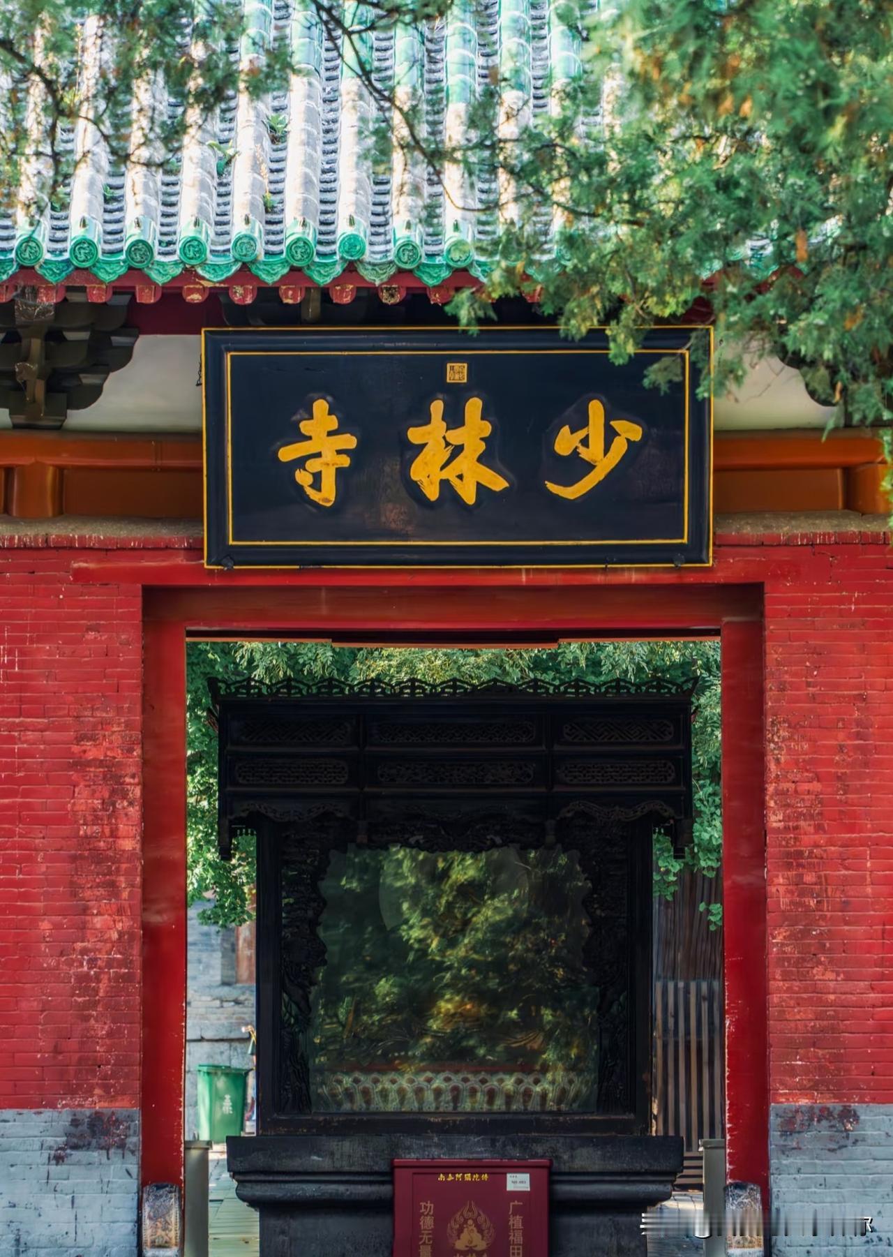 少林寺的清晨可能真的不一样了。不是因为游客多了或者门票涨价了。而是有人悄悄推开