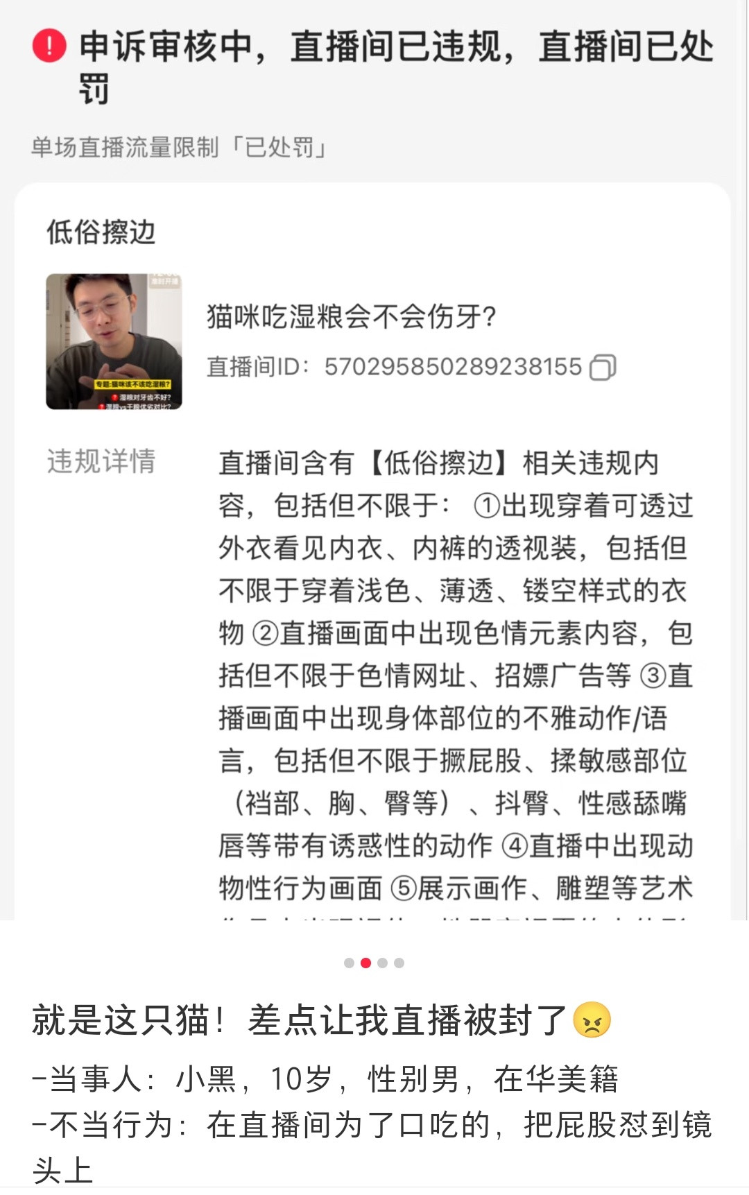 小猫露出了小pp，等于擦边