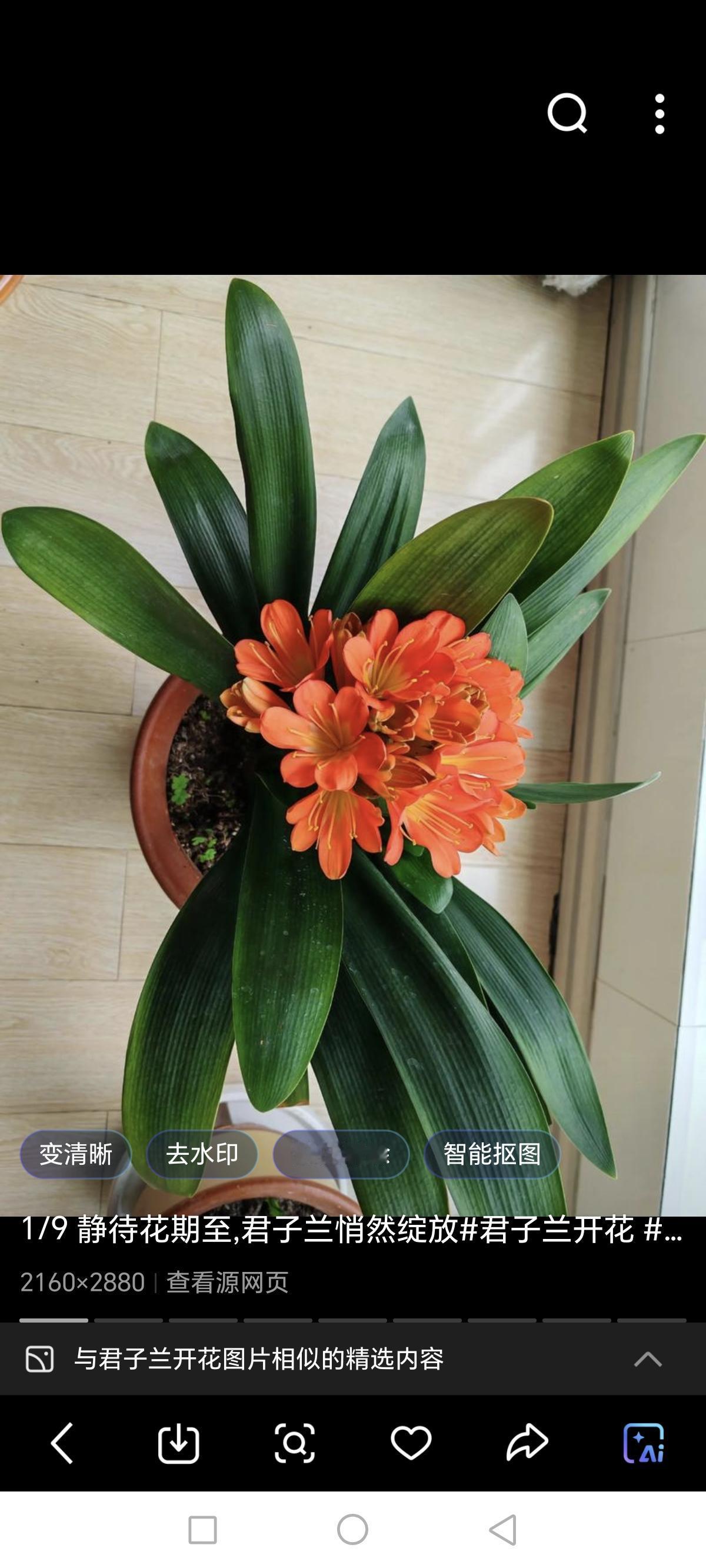 同学的老伴刚刚确诊得了胰腺癌。由于肿瘤长的位置不好，手术风险太大。如果不手术