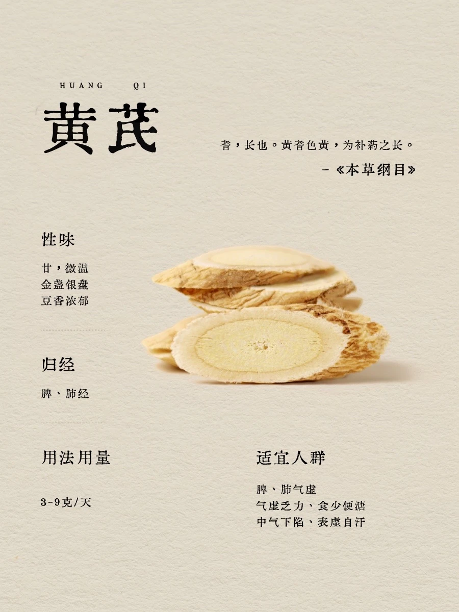 用了2000年的黄芪怎么吃？｜5分钟了解黄芪
