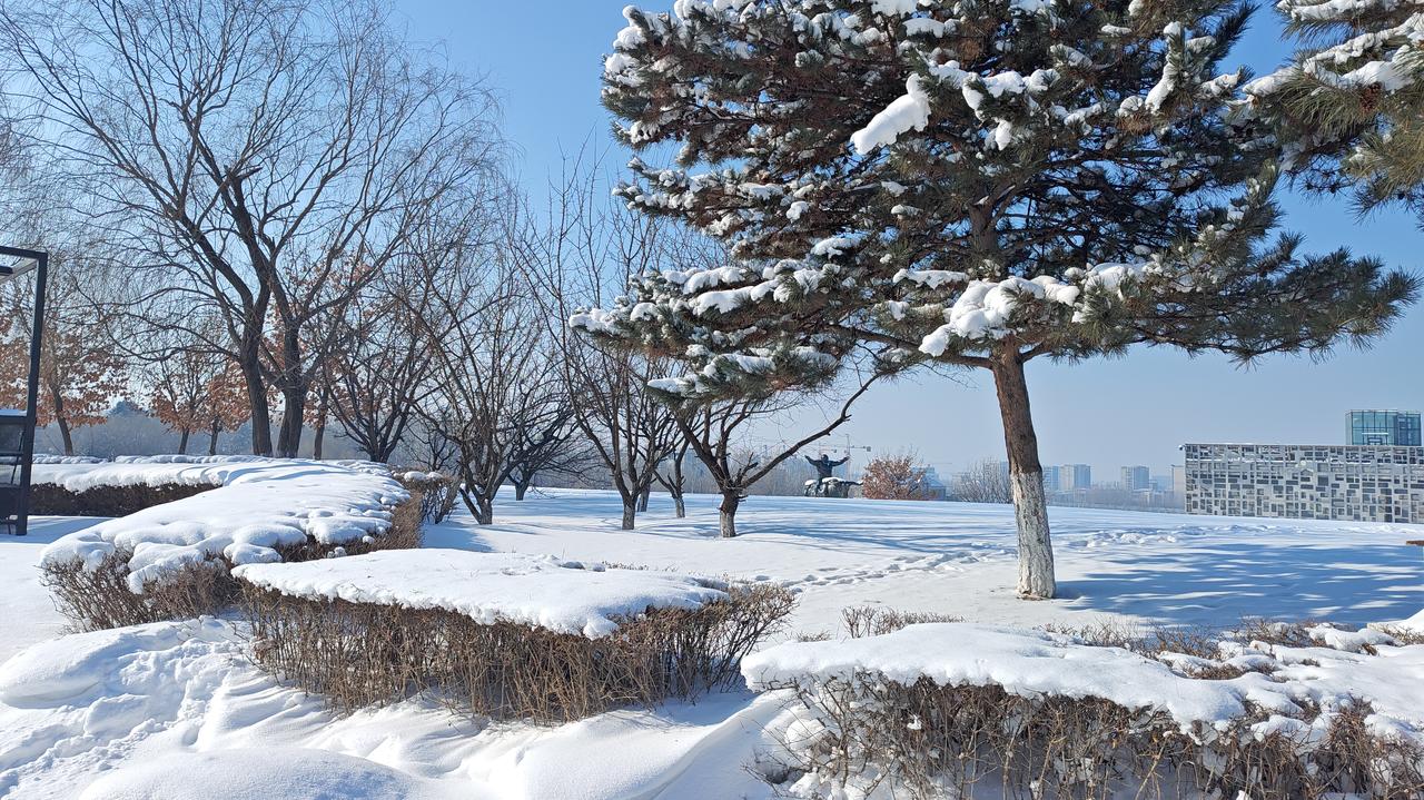 沈阳雨雪+大风+降温三连击！今夜到明晨出行必看目前沈阳市区、法库已出现零星