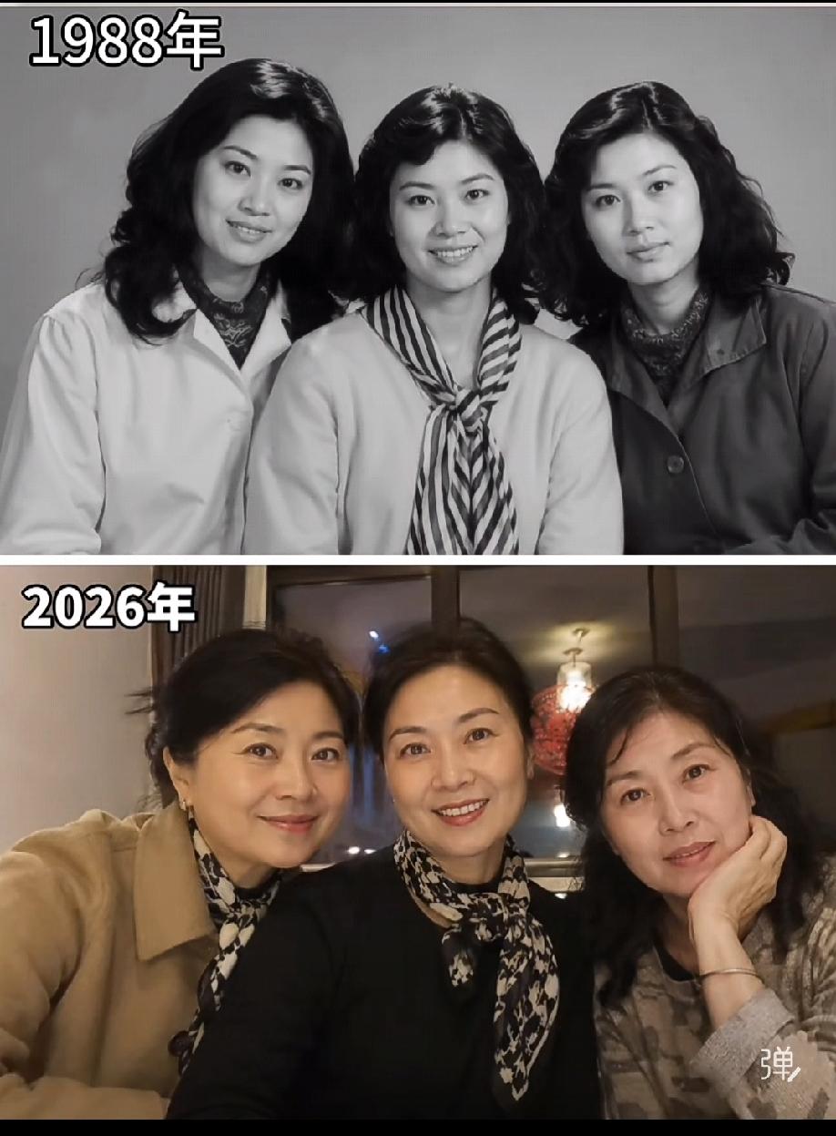 青春己逝气质不老