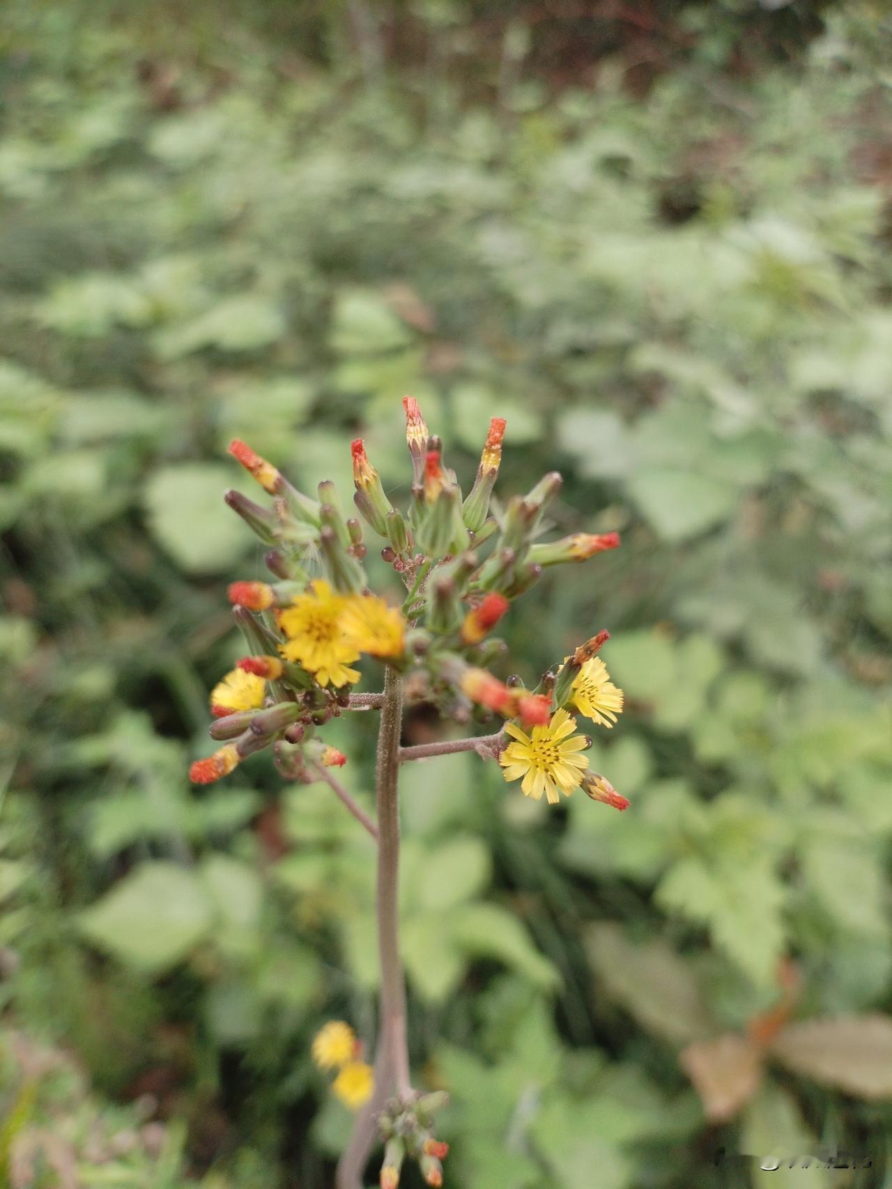 教育家苏霍姆林斯基说：“人到中年回头看，你在孩子身上偷的懒，都会变成最深的遗憾