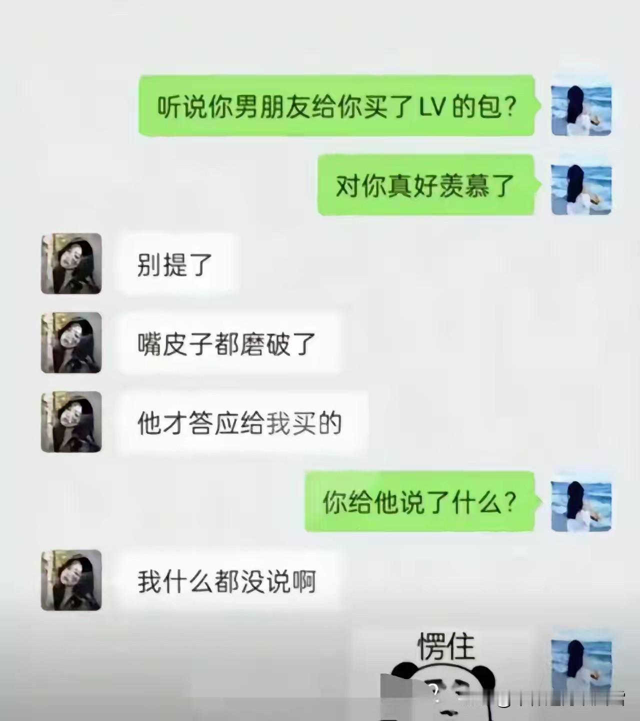 百思不得其解！一边说“什么都没说”，一边又说“嘴皮子都磨破了”，才给买的LV包