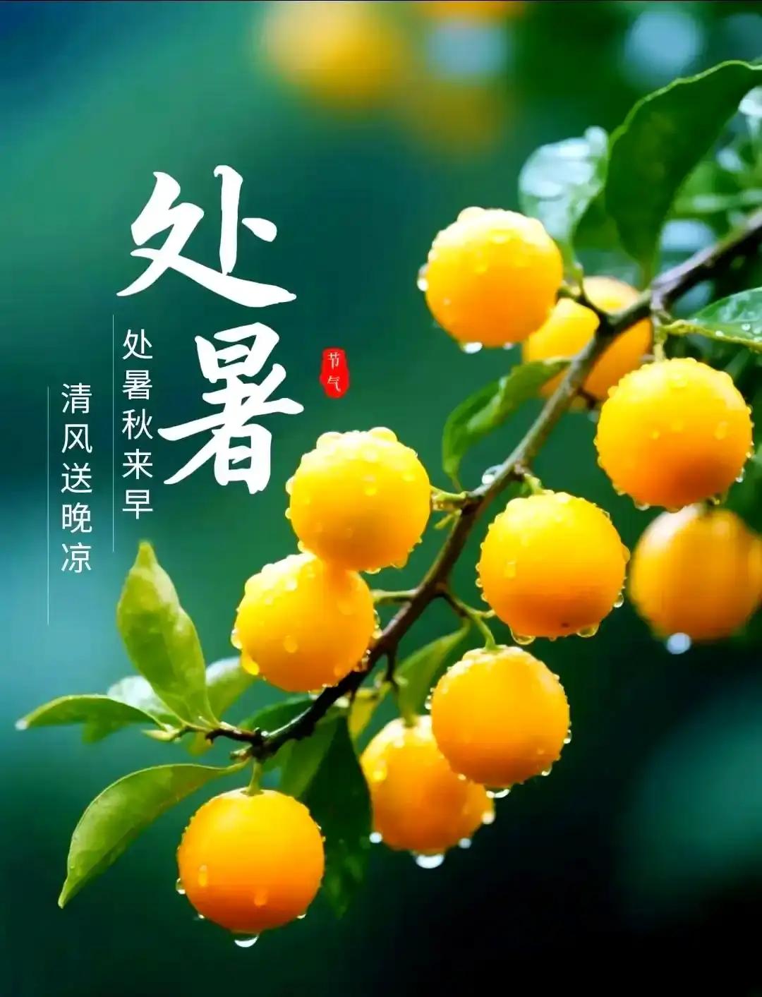 别再被骗了，8月23日处暑不等于凉快！明天就是处暑，朋友圈肯定又要刷"暑去凉