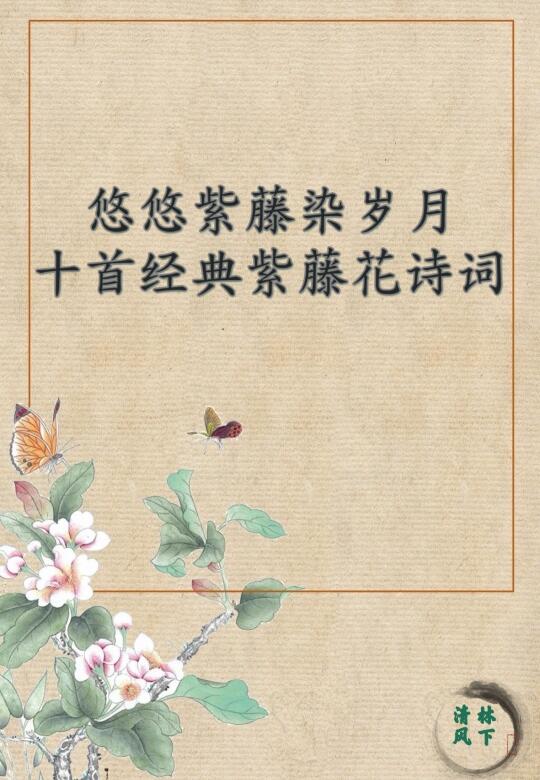悠悠紫藤染岁月 十首经典紫藤花诗词