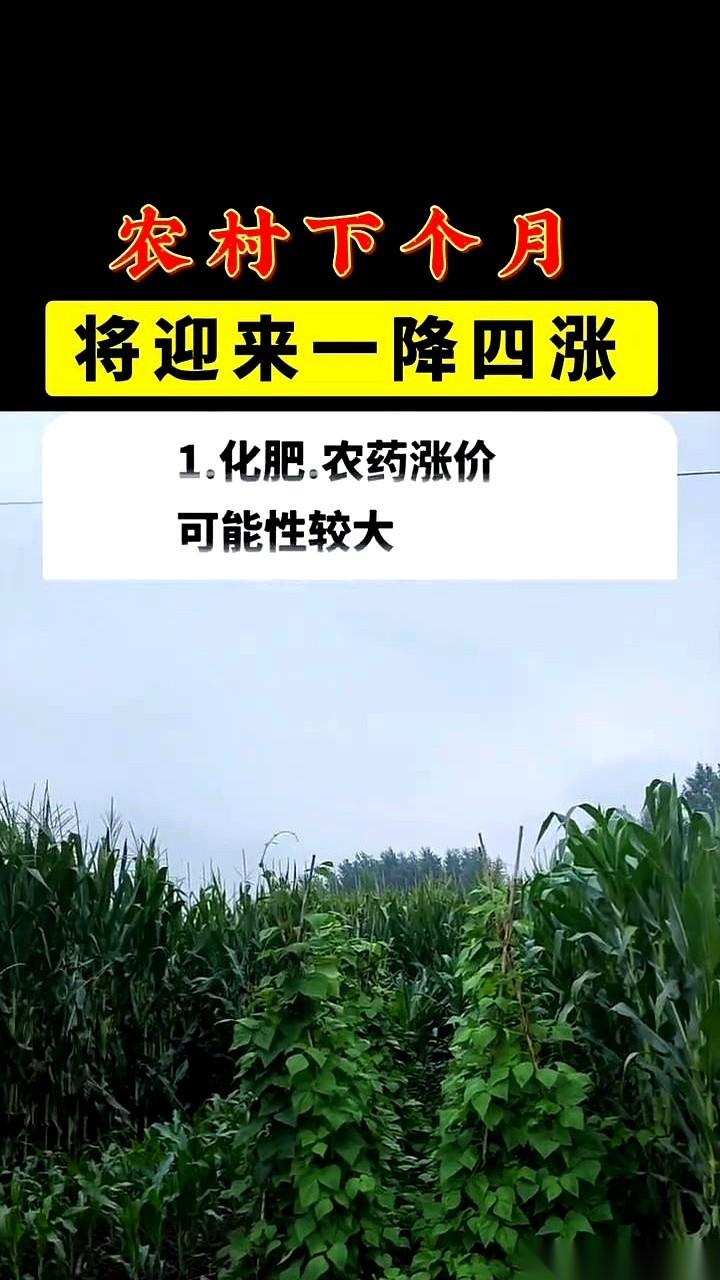 好消息！下个月油价可能要降了！但你先别急着喊“万岁”。因为除了开车的成本，你
