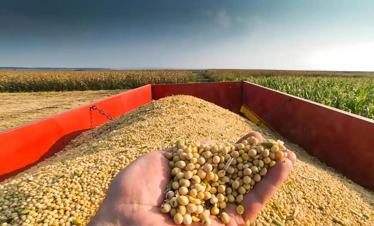 万一阿根廷，美国，巴西三国大豆全部涨价，中国怎么办？ 要是阿根廷、美国、巴西