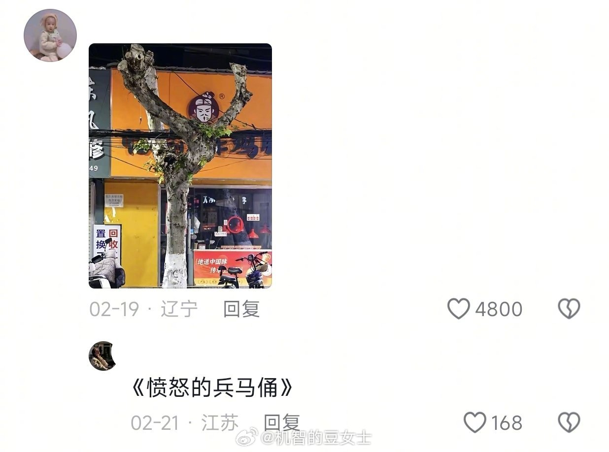 这届树精怕是成精了！我的幽默灵感片场人间值得有欢喜