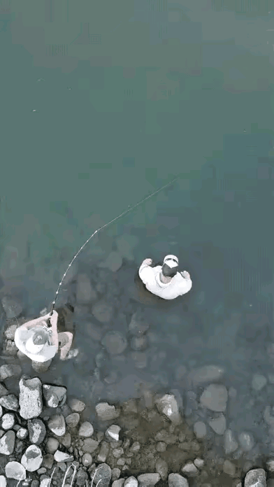 这钓鱼者没被鲨鱼吞了，就算福气了，竟然还把鲨鱼拽上来了，真是高手。