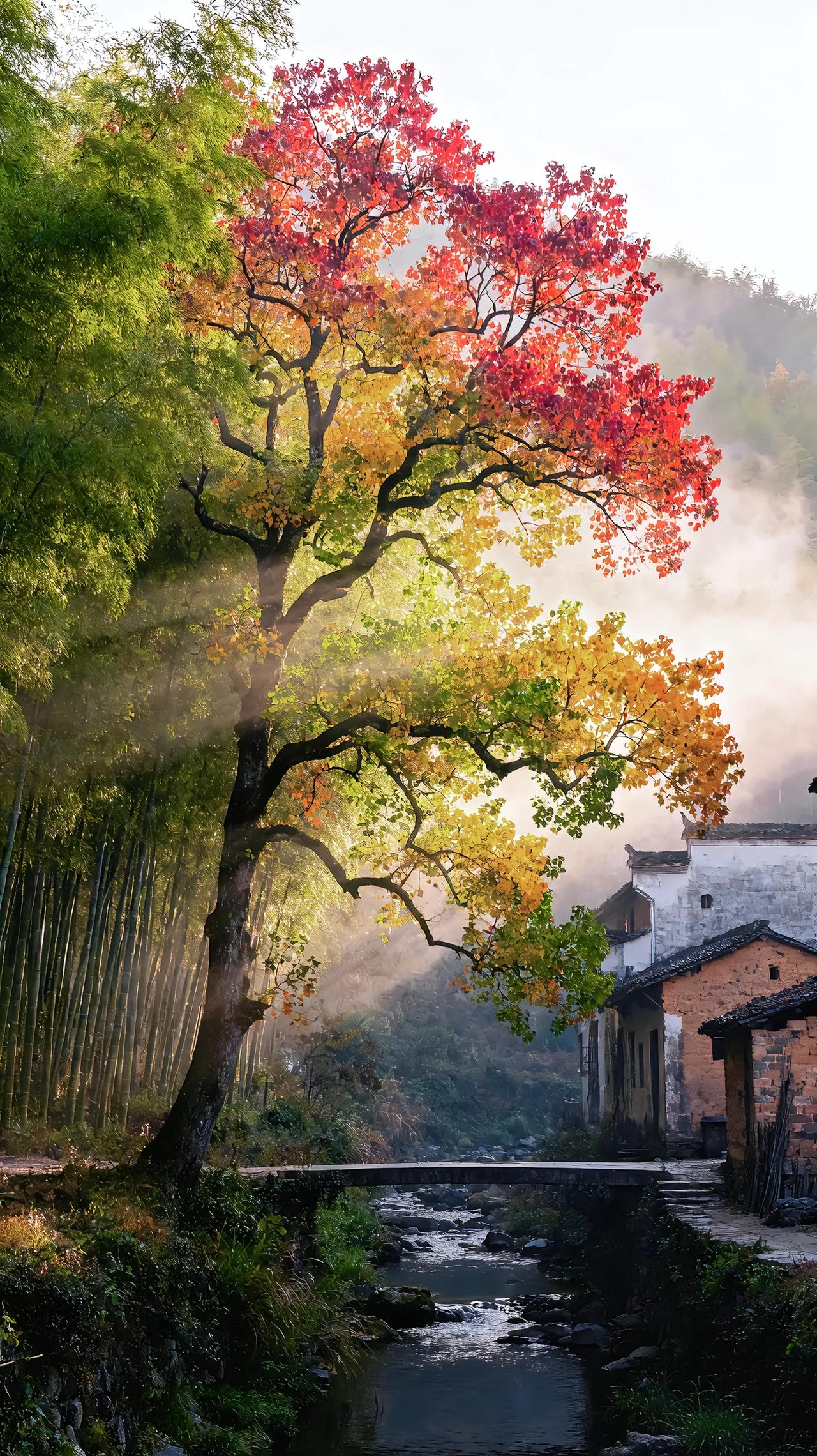 我还是喜欢皖南的秋天，我每年都会去的。以后等我退休的时候，我可能会在皖南买一个房