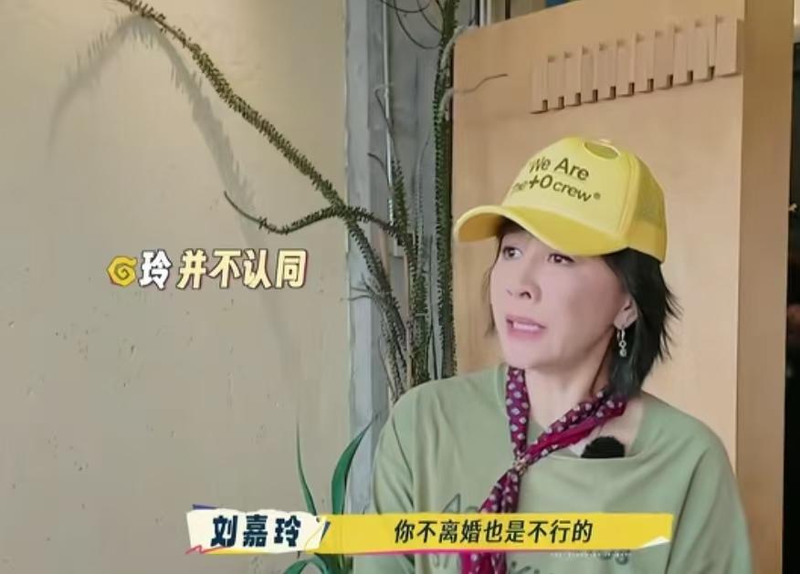 何赛飞说尽量克服困难不离婚，刘嘉玲不赞同她的说法！何赛飞：“能克服的困难不要离