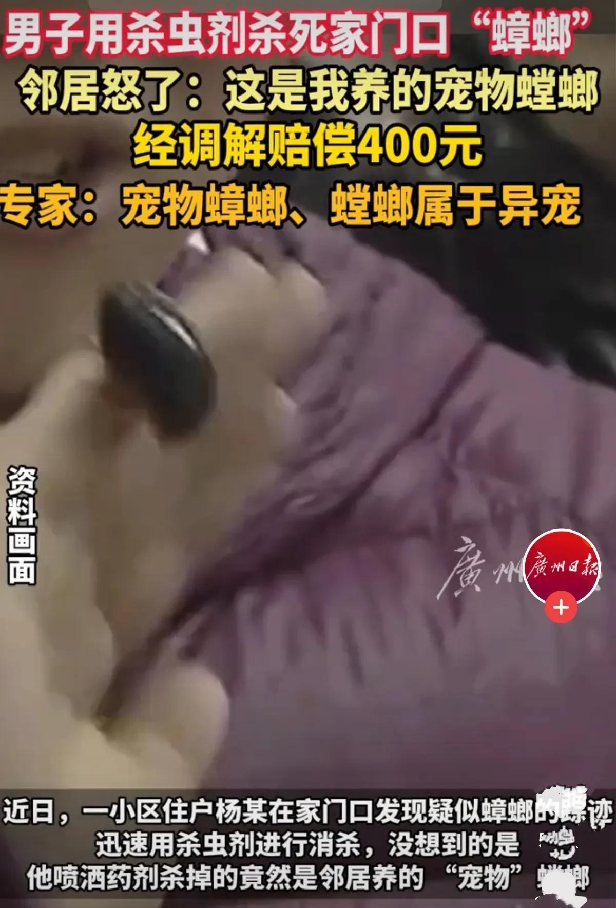 浙江杭州，男子发现家门口有蟑螂，这东西一旦进了房子里，那后果不堪设想！于是，他买