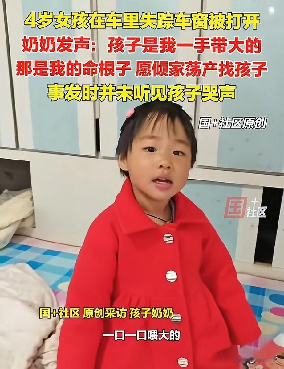 孩子你在哪里？快点回来吧！你的爷爷奶奶等你回家辽宁4岁女孩在车里失踪，在农村