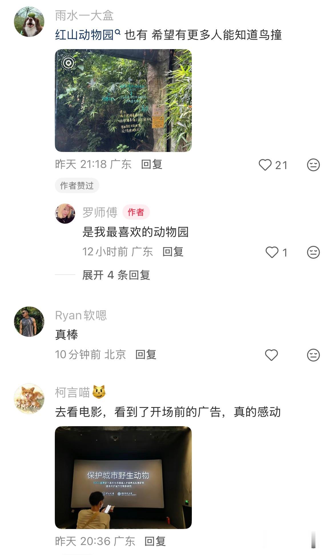 在广州发现了鸟儿友好贴纸