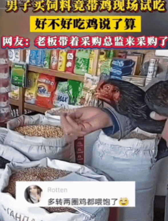 山东，一名男子提着一只活鸡来买鸡饲料，把老板都惊得说不出话来！老板刚想介绍饲料，