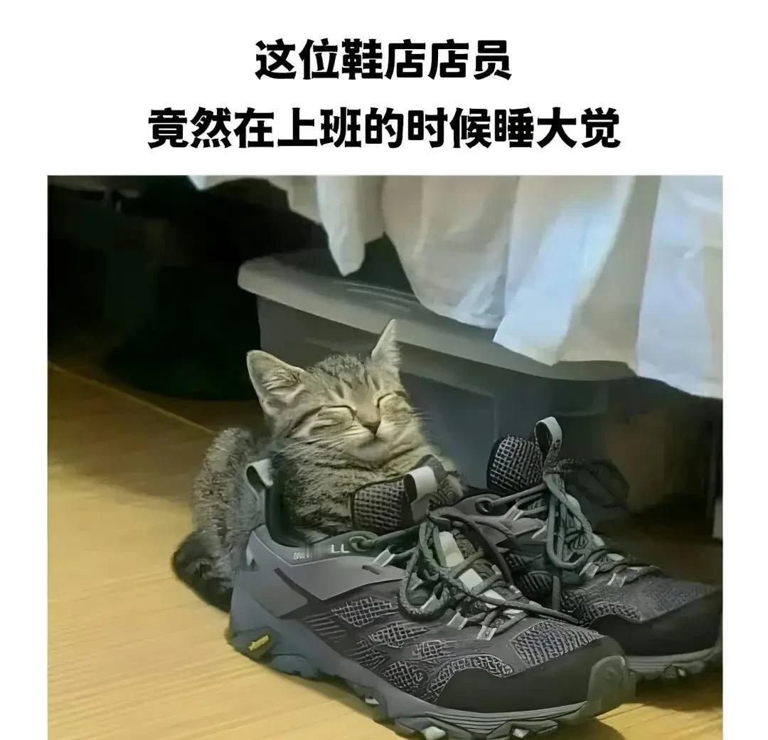 每日梗图​​​