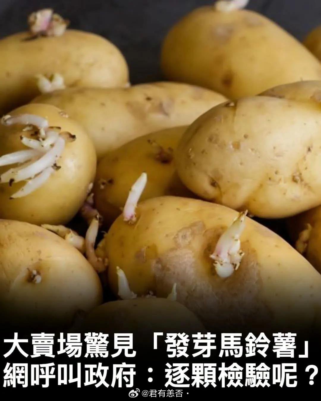 从美国进口的发芽土豆已在台湾大量上架。