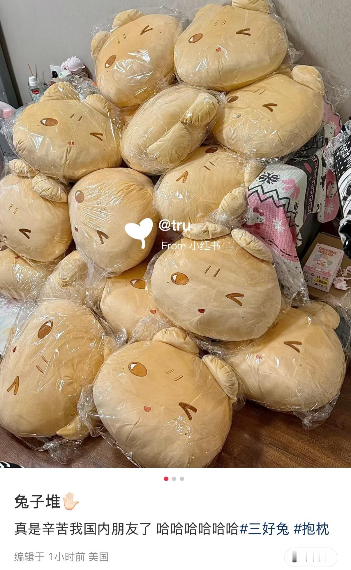 全世界最努力的兔妈