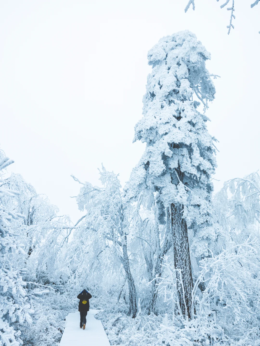 没去毕棚沟！这个小众赏雪地更值得